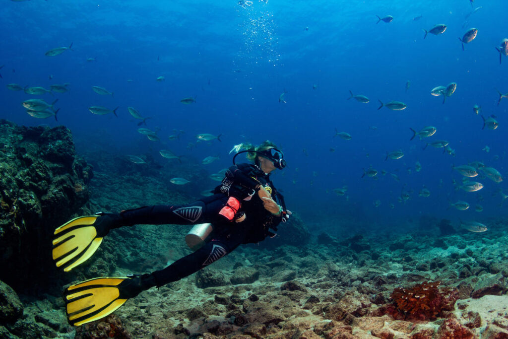 Isla Coiba Veraguas 2 VIP Tours By Luis Vaz